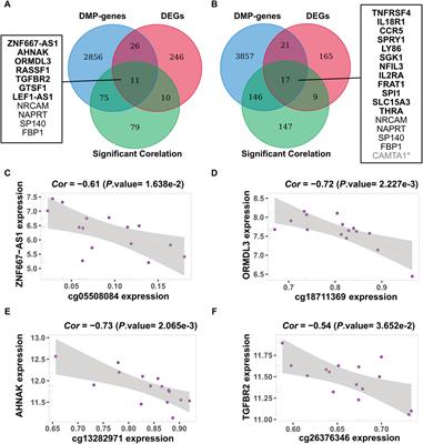 Methylation-driven mechanisms of allergic rhinitis during pollen and non-pollen seasons using integrated bioinformatics analysis